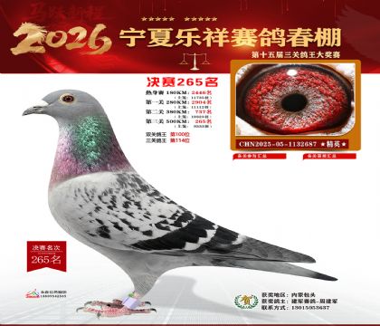 �����������265��