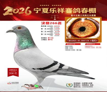 �����������266��