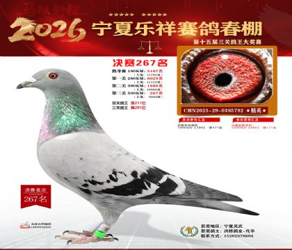 �����������267��