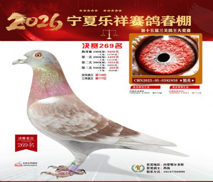 �����������269��