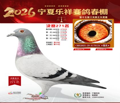 �����������271��