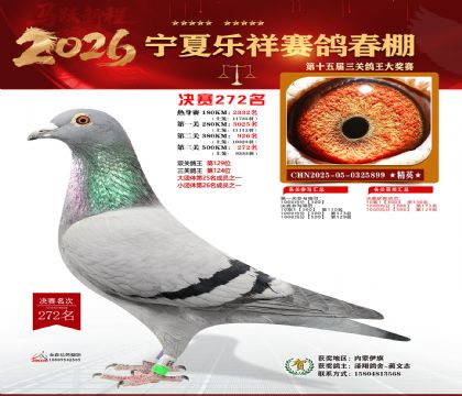 �����������272��