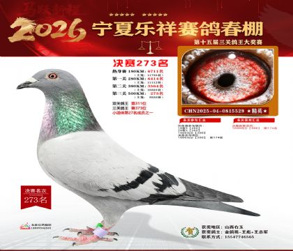 �����������273��