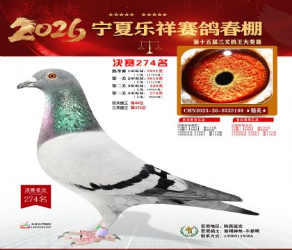 �����������274��