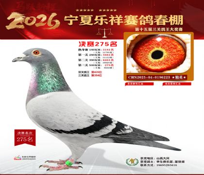 �����������275��