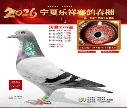 �����������276��