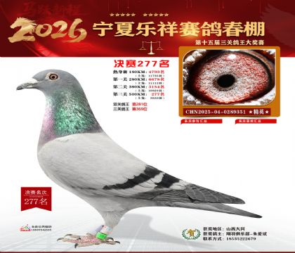 �����������277��