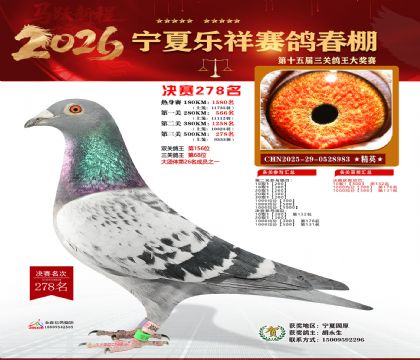 �����������278��