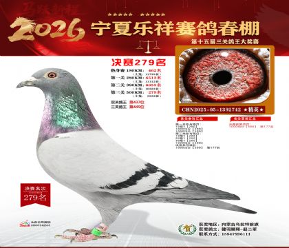 �����������279��