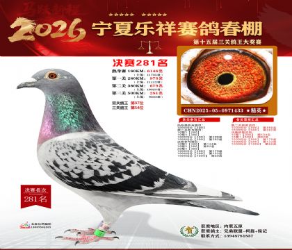 �����������281��