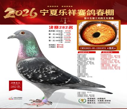 �����������282��