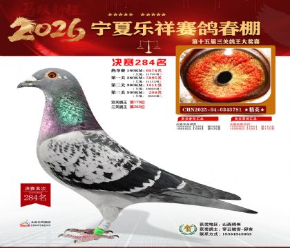 �����������284��