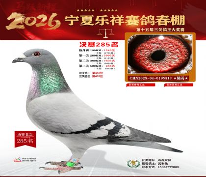 �����������285��