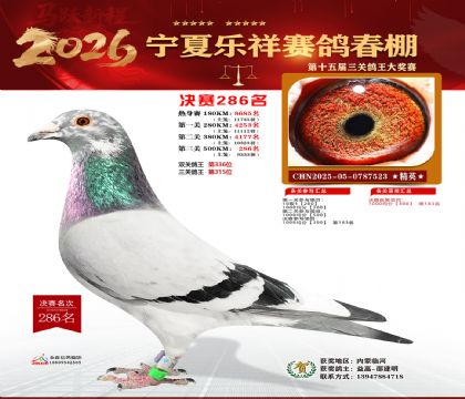 �����������286��