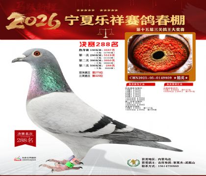 �����������288��