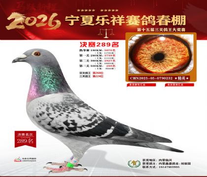 �����������289��