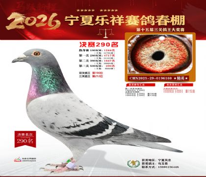 �����������290��