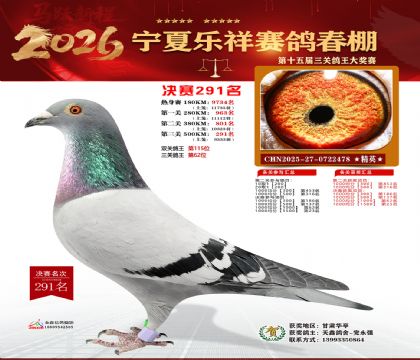 �����������291��