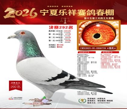 �����������292��