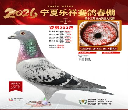 �����������293��