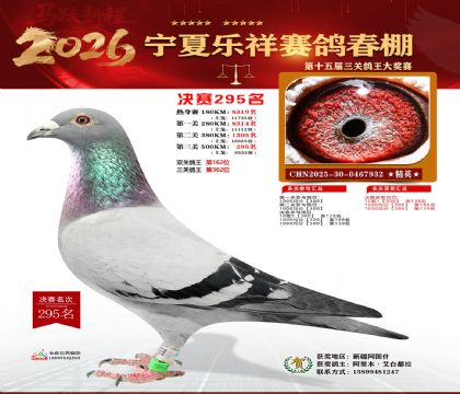 �����������295��