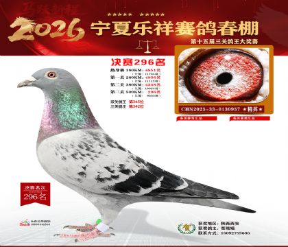 �����������296��