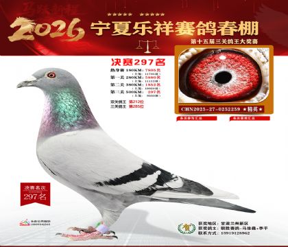 �����������297��