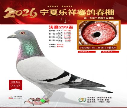 �����������299��