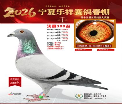 �����������300��