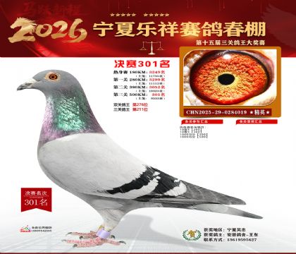 �����������301��