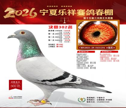 �����������302��