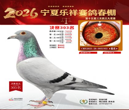 �����������303��