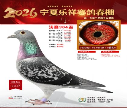 �����������304��