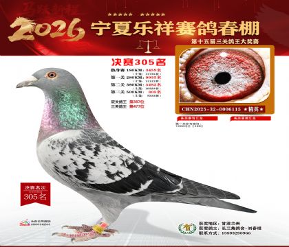 �����������305��