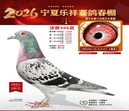 �����������306��