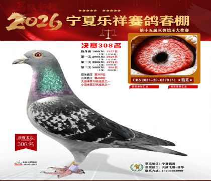 �����������308��