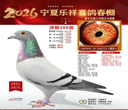 �����������309��