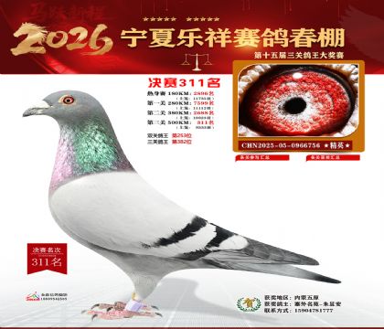 �����������311��