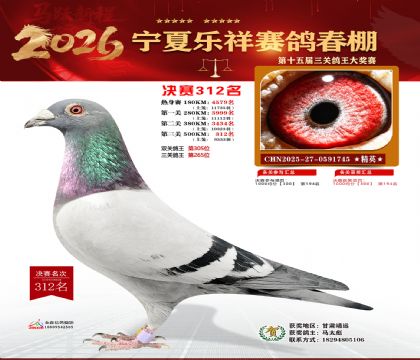 �����������312��