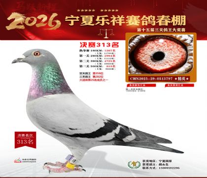 �����������313��