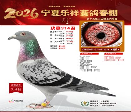 �����������314��