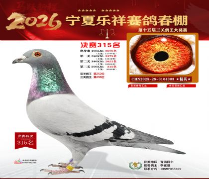 �����������315��