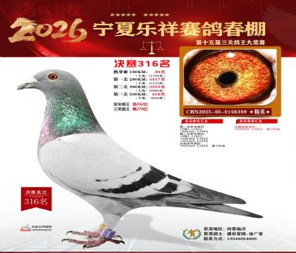 �����������316��