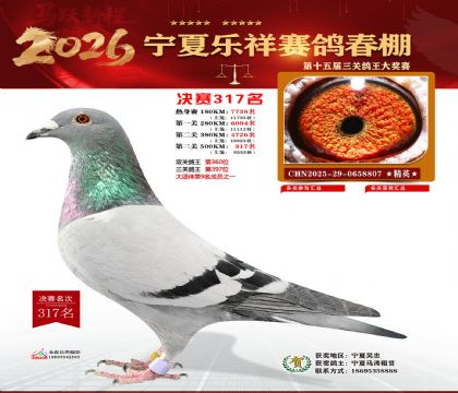 �����������317��