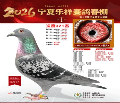 �����������321��