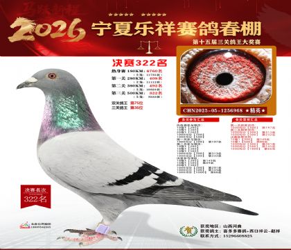 �����������322��