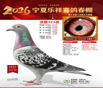 �����������323��