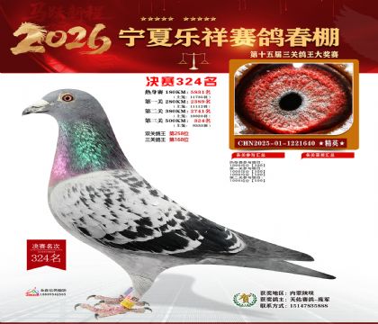 �����������324��