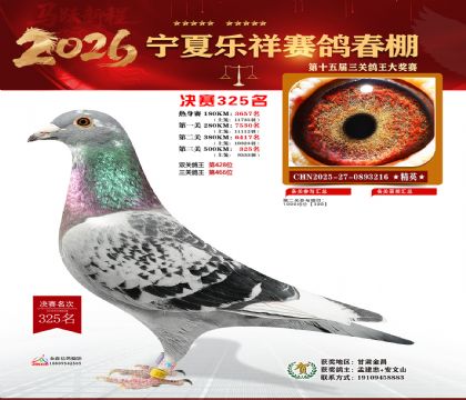 �����������325��