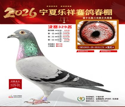 �����������329��